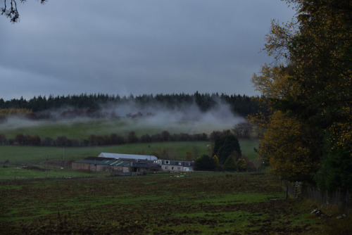 on-misty-mountains - A little throwback to autumnal colours,...