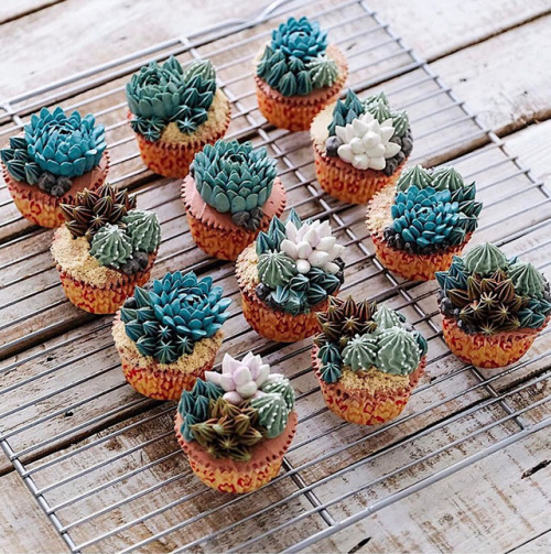 bibidebabideboo - (Succulent Cakes By Ivenoven Will Make Every...