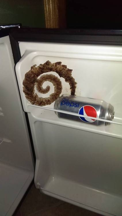 modmad - stunningpicture - Soda froze into a spiral (xpost...
