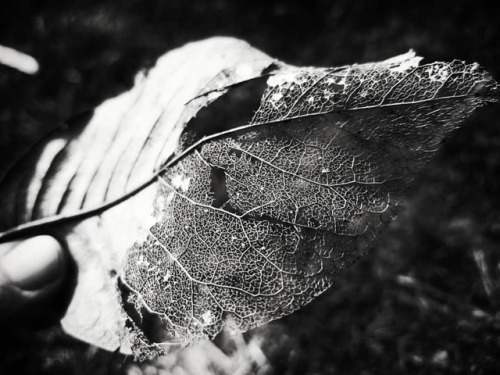 There is beauty in decay. #blackandwhite #monochrome...