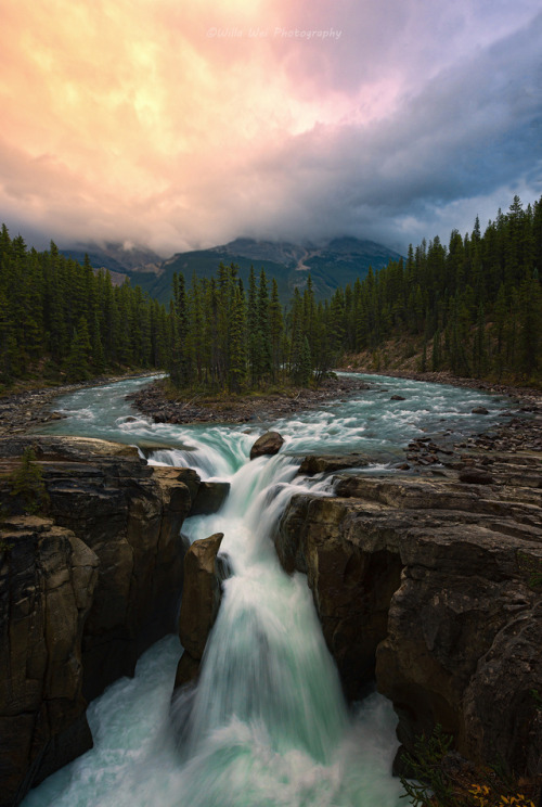 phantastrophe - Sunwapta Falls, Canada | Photographer -  Willa Wei