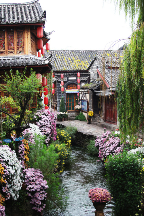 floralls - Autumn at Lijiang old town, China byNgoc Hung