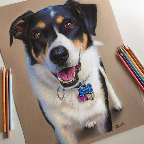 Fun dog portrait commission! 