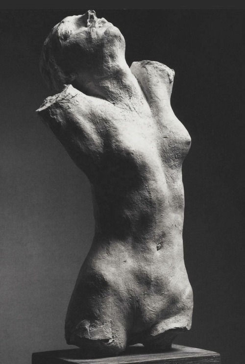 art-mysecondname - Auguste Rodin - Torso of the Centauress