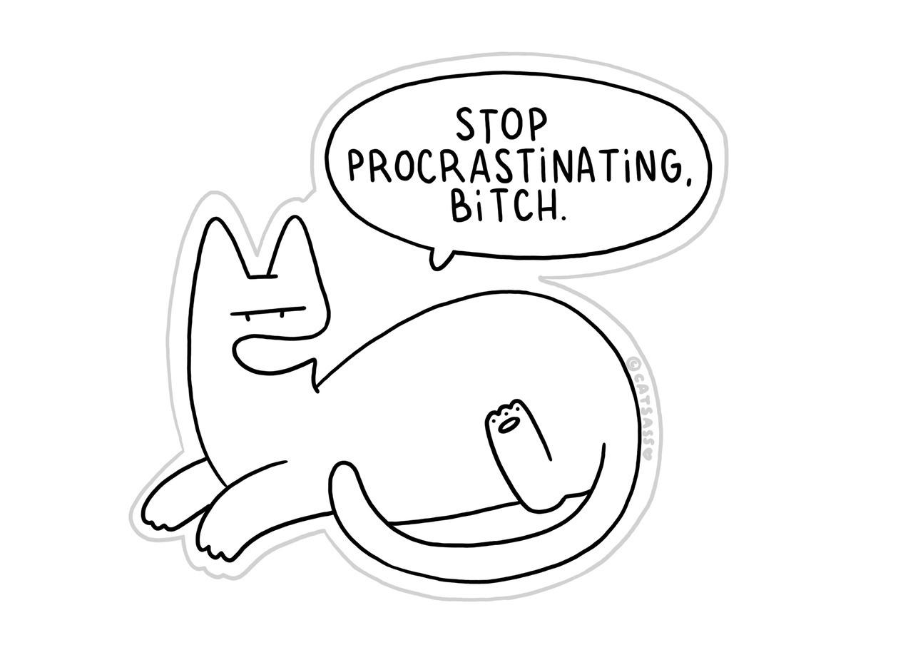 Here’s a printable cat to motivate you to get something done with your life. Cut it out and stick it in your workplace. You’re welcome.