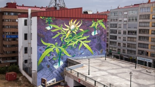 itscolossal - Soaring Murals of Plants on Urban Walls by Mona...