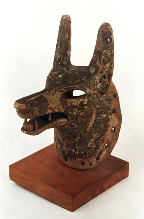 grandegyptianmuseum:Head of Anubis, the jackal-headed god...