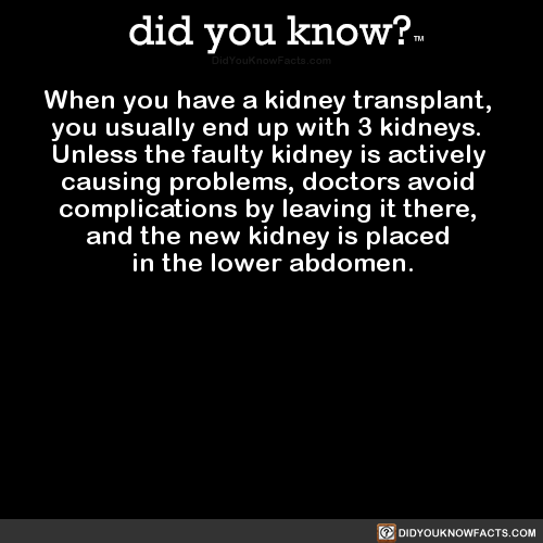 when-you-have-a-kidney-transplant-you-usually