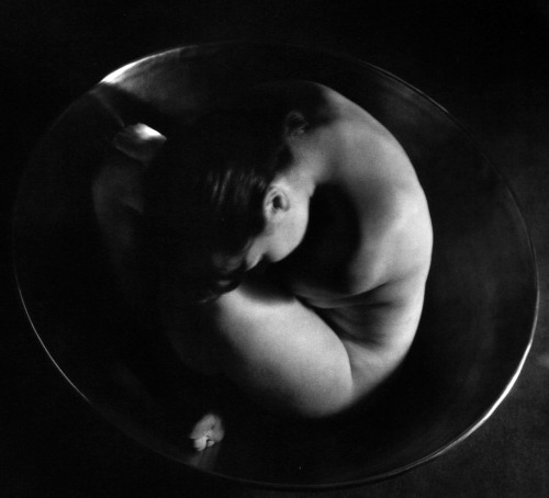 semioticapocalypse - Ruth Bernard. Embrio. 1934[ - - SemAp...