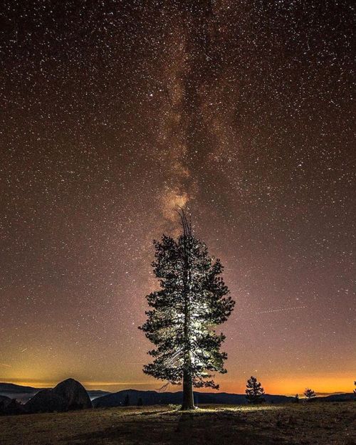 tentree - Enjoying a starry night in Yosemite National Park 