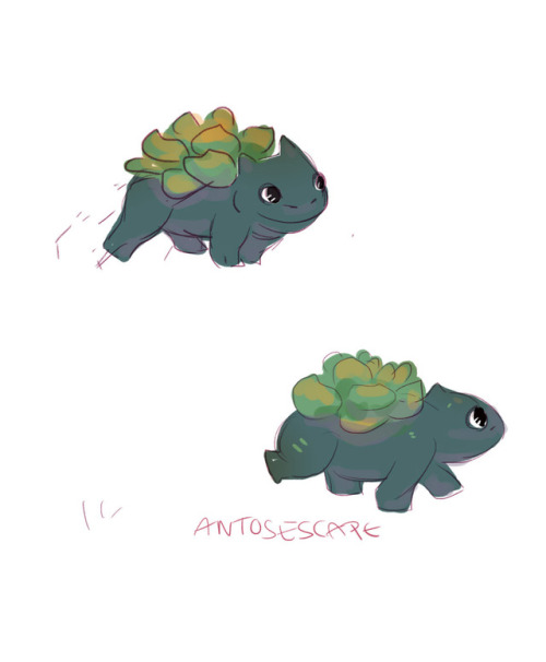 antosescape - how Lil succulent Bulbasaurs are born <3please...