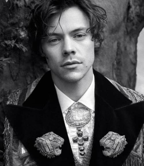 lhovemeplease - Harry for Gucci