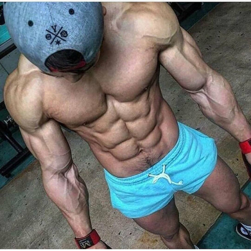 musclefibergains:Which physique do you prefer?