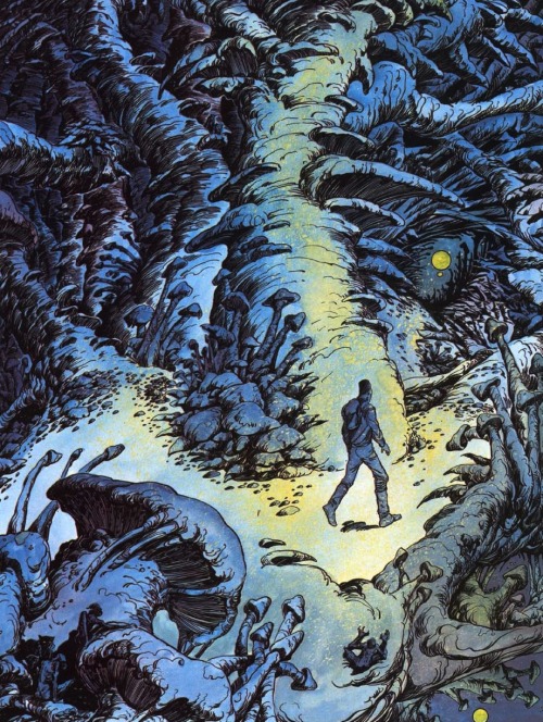 howlingscience - Philippe Druillet