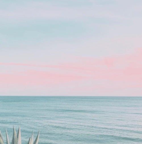 beachlife | Tumblr