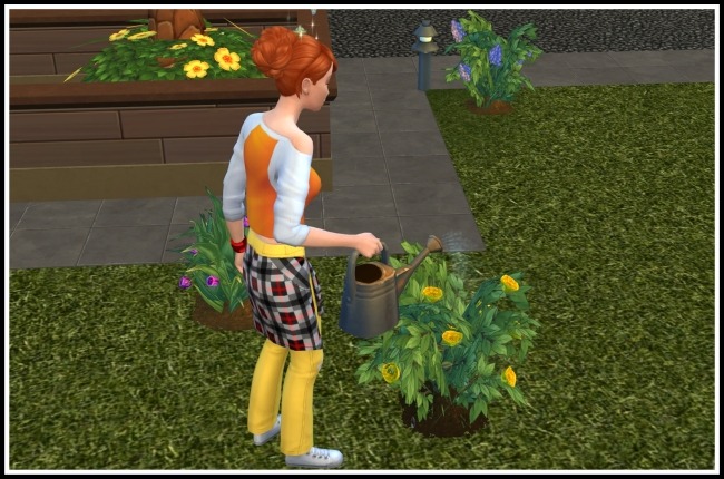 Autonomous Gardening  Let your Sims them autonomously water, weed, spray and evolve Plants and more
[[MORE]] >>>>>>>>>