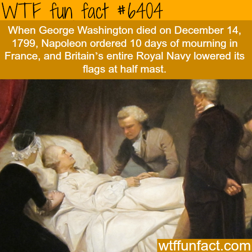 wtf-fun-factss - George Washington death - WTF fun facts