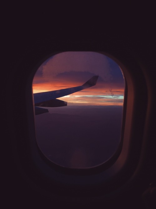 fxckingetit:airplanes & sunsets