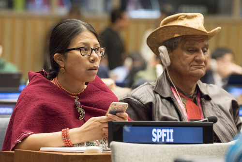 united-nations:The Permanent Forum on Indigenous Issues is now...