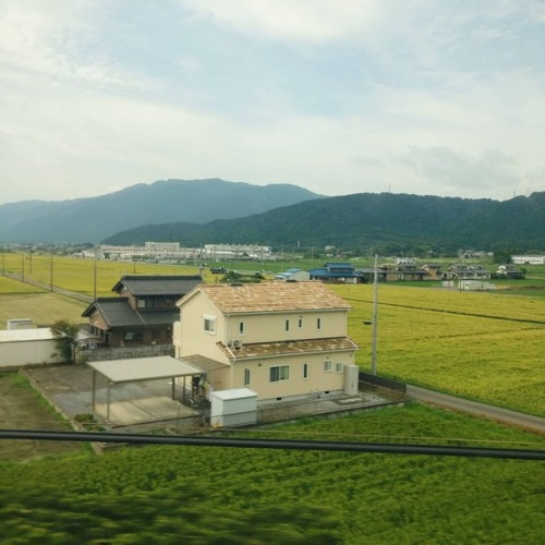 Japanese countryside from the Shinkansen. | #新幹線 #日本 #旅行...