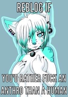 its-yiff-time - I most certainly wouldYes yes yes anthro are...