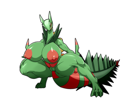 ber00 - High res linkkiwibomber’s commissionMega Sceptile from...