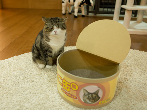 cybergata - “What is this?  Hum must be something for Maru to...