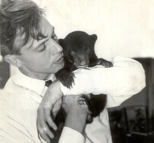 my-retro-vintage - Sir David Attenborough cuddles a bear cub named...