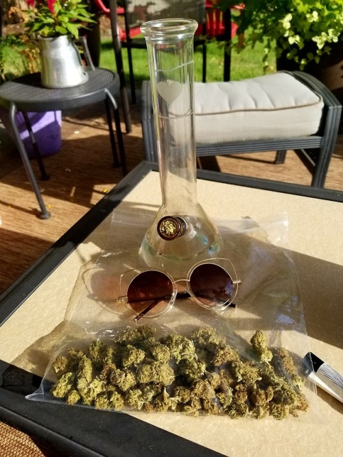 stoned-adventurer - My friend gave me a big ol bag of weed for my...