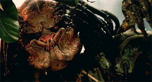 Image result for predator 1987 GIF