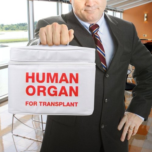 novelty-gift-ideas - Human Organ For Transplant Lunch Bag