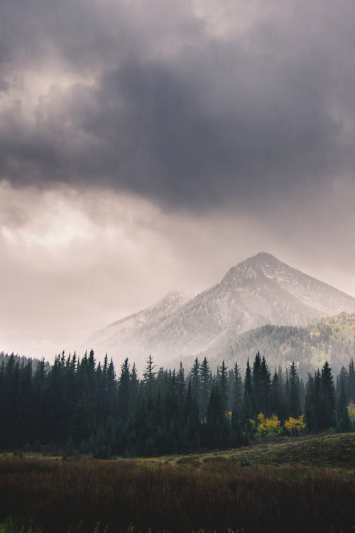 Stormy Mountain | nlarson801