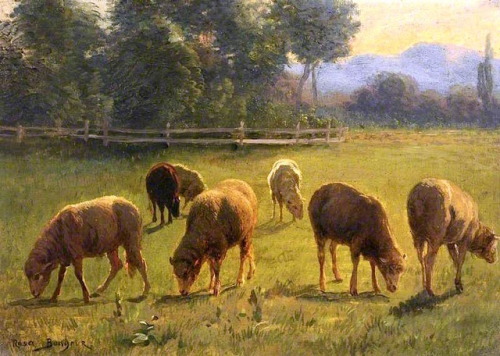 rosa-bonheur - Sheep in a Landscape