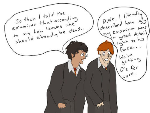fleamontpotter - My favourite ridiculous idiots. 