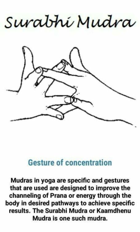 buddhaprayerbeads - What is a Mudra?To put it simply, a Mudra is...