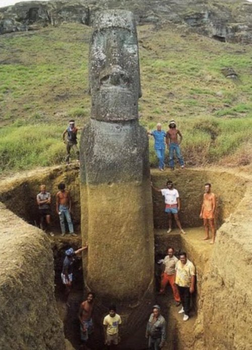 missbcm:Archaeologists have known that the Easter Island heads...