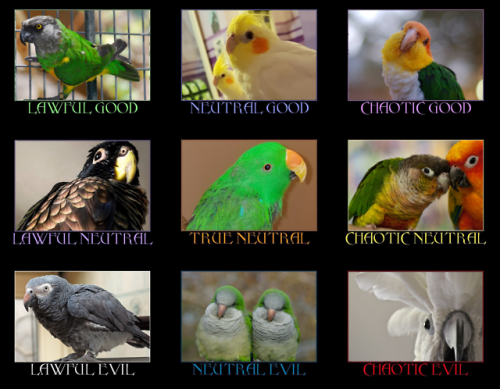 cuckariki - an accurate bird alignment chart, because there is...