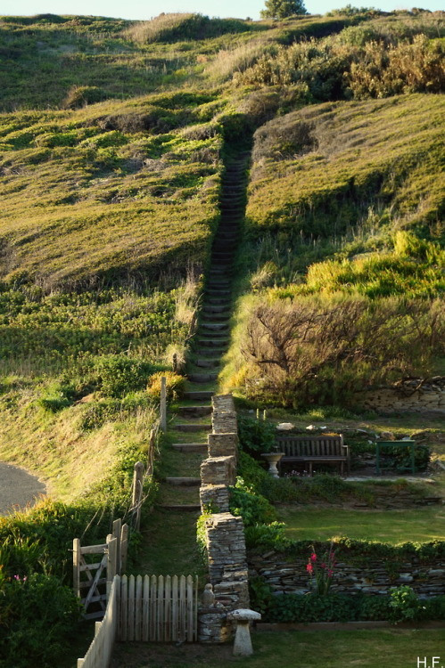 thethingsiveseen-photography - Steps to the clifftops,...