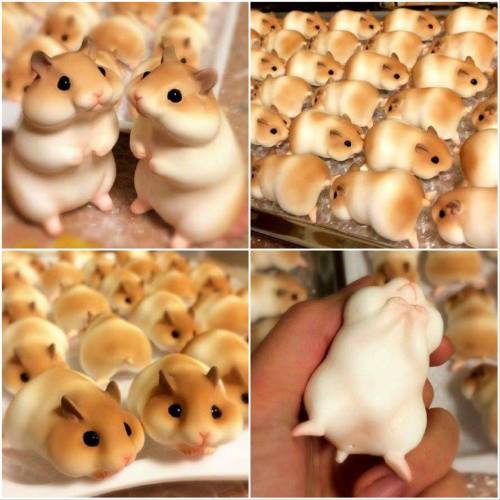 coolthingoftheday - Adorable Japanese hamster bread. (Source)