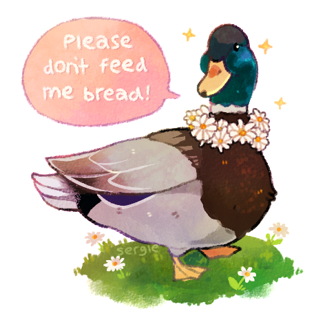 sabtastique:sergle:hey! ducks are adorable and everybody...