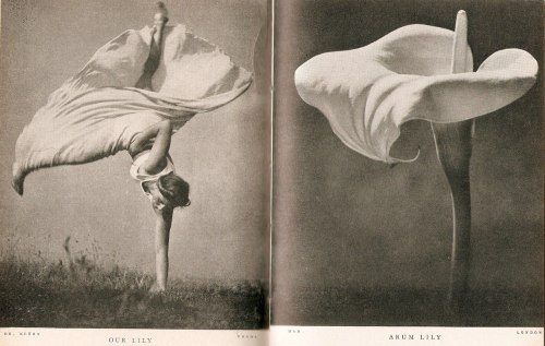 fashion1930s - Woman as lily