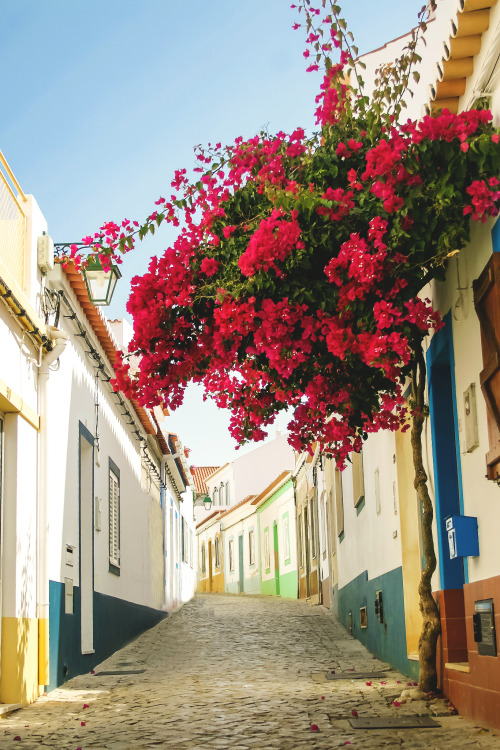 Faro, Portugal | Dominick Angstwurm