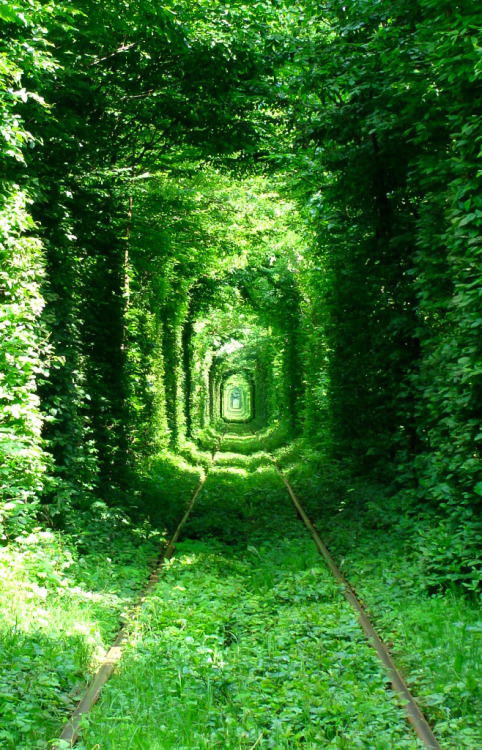 coiour-my-world:Tunnel of Love, Ukraine