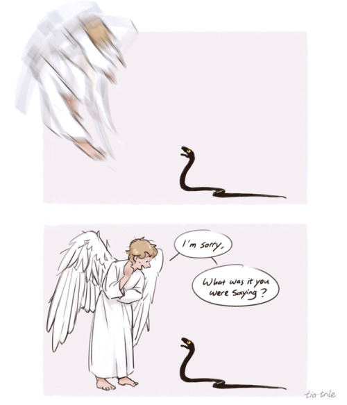 my-cat-said-no:tio-trile:What if angels do the...