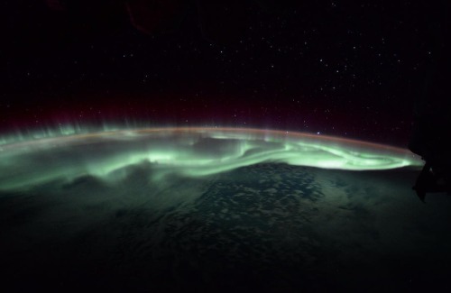 neckkiss:Aurora.Source: NASA