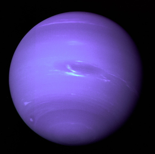 space-pics - This picture of Neptune was produced from the last...