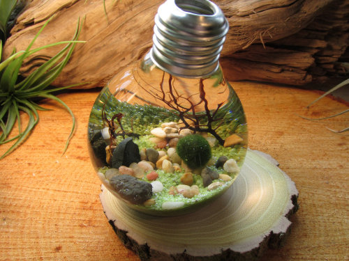 iamrickyhoover - wickedclothes - Reclaimed Lightbulb...