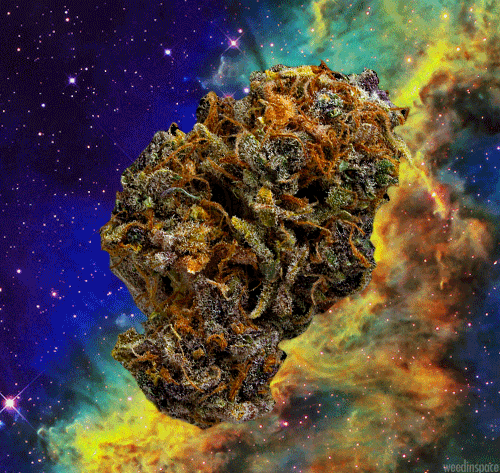 sharethaweed - herb in space