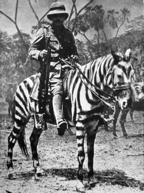 warhistoryonline - British soldier on a horse in zebra...