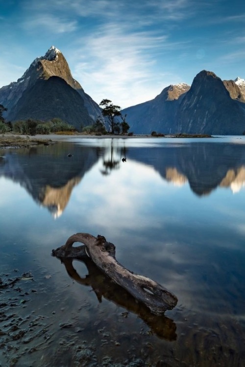 maureen2musings - Reflections at Piopiotahi NZ...